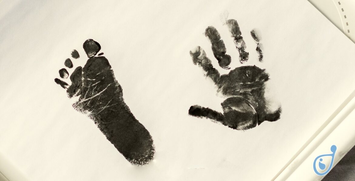 Registro Footprint Registro Footprint